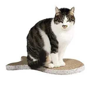 The DDS Store 'Big Fish' Shaped Cat Scratcher and Resting Lounge Pad, Made of Eco Friendly Recyclable Cardboard Material Size: 19.5