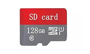 Flash Memory Card - 128GB with SD Adapter and USB Adapter