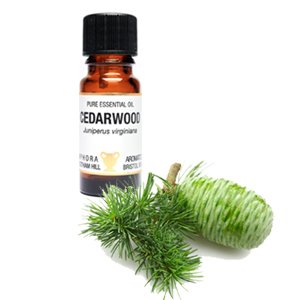 Cedarwood Virginian, Pure Essential Oil. In a 10ml Amber Glass Dropper Bottle by Amphora Aromatics