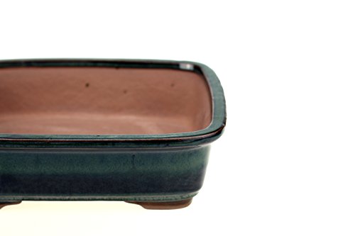Bonsaischale Rechteckig mit abgerundeten Ecken Grün Glasiert (L 24,8cm x B 21,5cm x H 7cm) - 5