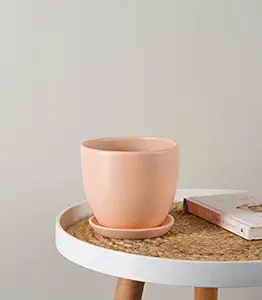 Nurturing Green Modern Design Pastel Blush Pink Ceramic Pot (Without Plants) for Home, Indoor D?cor & Gifting (Size: 5*4 Inch | Comes with Bottom Plate)