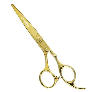 Equinox Professional Hair Scissors - Hair Cutting Scissors Professional - 6.5?? Overall Length - Razor Edge Barber Scissors for Men and Women - Premium Shears for Hair Cutting For Salon and Home Use