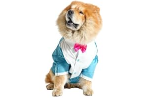 Barks & Wags Gaberdine Tuxedo with Bow Tie for Dogs & Cats Wedding Party Suit, Dog Birthday Bow Tie Shirt Formal Outfit (Blue, XL)