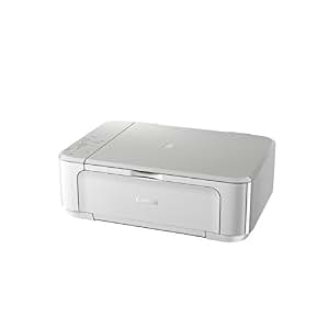 Canon mg3650 b blinkt