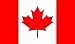 Produktbild 45,7 x 30,5 cm (45 x 30 cm) Kanada Canadian Ärmeln Boot Höflichkeit 100% Polyester Material Hand Waving Flag Banner Ideal für Pub Club Schule Festival Business Party Dekoration