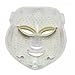 Denshine 3 Colors Light LED Facial Mask Skin Rejuvenation Photon Therapy Beauty Device