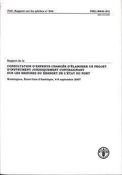 Rapport De La Consultation D'experts Chargée D'elaborer Un Projet D'instrument Juridiquement Contraignant Sur Les Mesures Du Ressort De L'etat Du ... Etats-unis D' Amerique, 4-8 Septembre 2007 en ligne