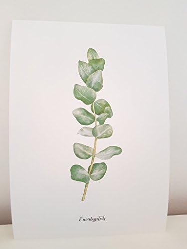 Botanical Leaves Prints (Eucalyptus A5)