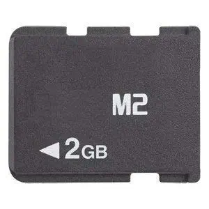 2 GB Memory Stick Micro (M2) Flash Memory Card with Adapter