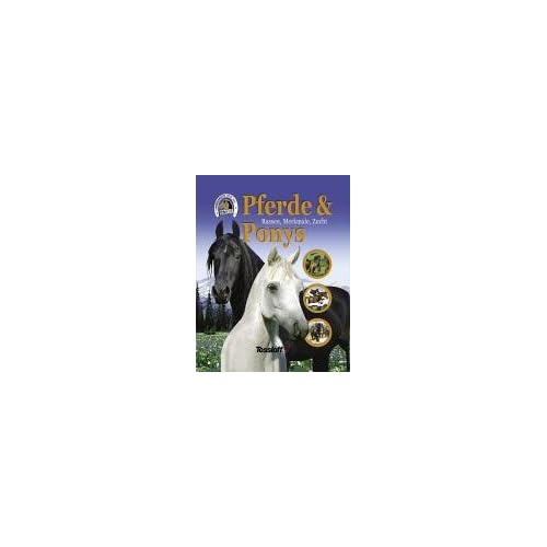 Pferde & Ponys, Rassen, Merkmale, Zucht