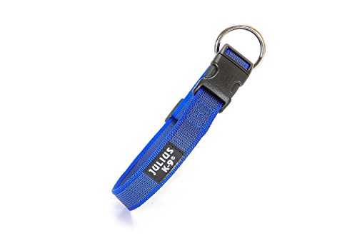 JULIUS-K9-Color-Gray-Collar