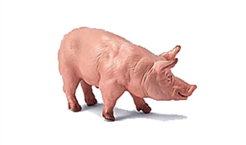 Preisvergleich Produktbild Schleich 13217 - Eber