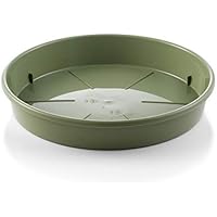 Platillos para plantas | Amazon.es