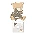 Price comparison product image Teddybear & Stars - Brown - Light Switch Wall Stickers Children's Bedroom Playroom Fun Adhesive Vinyl
