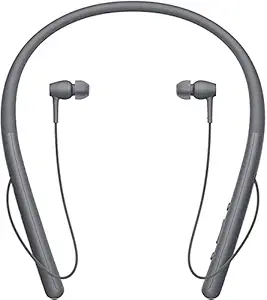 Taproot Lite Bluetooth 5.0 Wireless Headphones with Microphone 8 Hours Playtime Hi-Fi Stereo Sound Headset for Workout