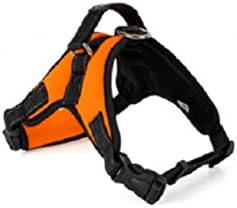 Safety Front Range No-Pull Dog Harness,3m Reflective Vest for Dogs Easy Control (MESH ORANGE, SMALL)