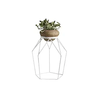 Iron Wall Planter Pot for Indoor Plant with Holder -Wall Mounted Planters with Stand Plant Containers Balcony Decoration Garden D?corCP105