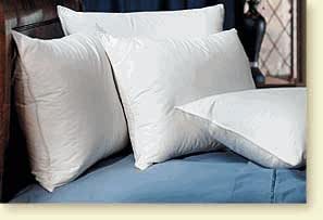 hilton down pillows