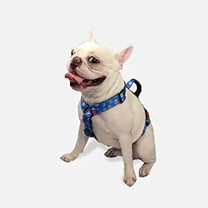 Mutt of Course Donuts H Harness (Small)