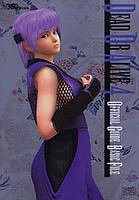 Preisvergleich Produktbild DEAD OR ALIVE 4 OFFICIAL GUIDE -BASIC FILE- (Xbox)