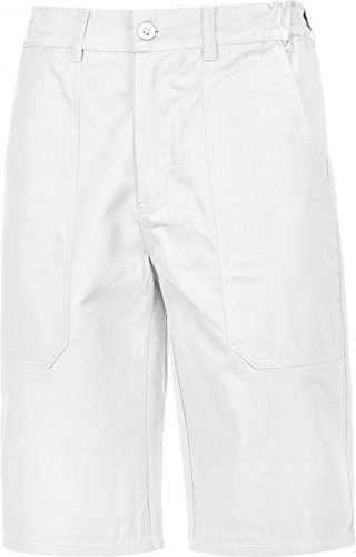 Arbeitsshort kurze Arbeitshose Malershort Basic Arbeitsshort, 250 g/m², Canvas Gr.42-68