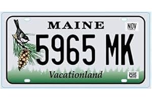 OPO 10 - Targa per Auto USA - Replica in Metallo 30x15 cm: Maine (C23)