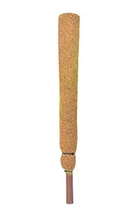 Divine Tree Coco Coir Pole Moss Stick for Climbing Money Plants(2 Ft)