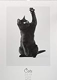 Cats 2019 L 42x59cm by 