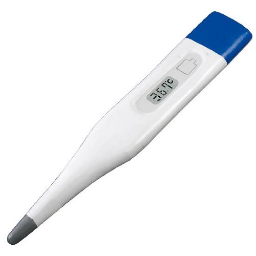 Preisvergleich Produktbild DekoWoerner Fiberthermometer XXL L70cm