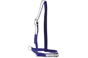 KAMER Licol en Nylon Bleu pour Vache