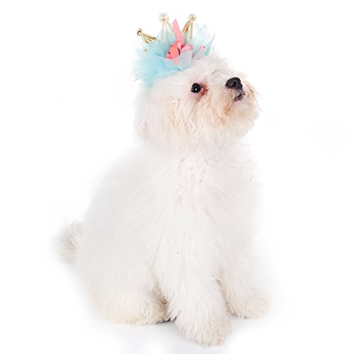 Pet-Dog-Puppy-Hair-Clips-Hairpin-Grooming-Dog-Headdress-Grooming-Accessories-Gold-Crown-Style-bY-Awhao