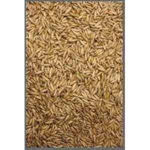 Höveler Skandi Hafer 25 kg