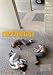 Alternation-("hahithalfut")israeli Hebrew Movie Film Dvd 2012(english Sub)