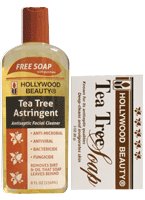 Hollywood Tea Tree Astringent Bonus 220 ml (Pack of 2)