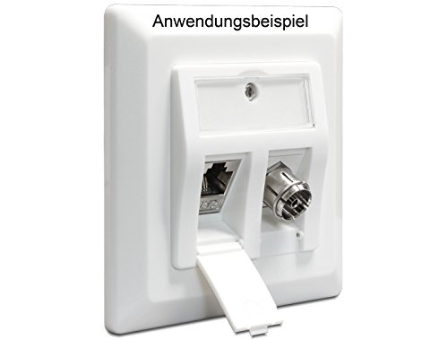 DELOCK Keystone Anschlussdose 2 Port - 3