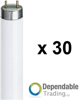 30 x 24w T5 High Output Triphosphor Fluorescent Tube 549mm - Colour Cool White - 840 - Pack of 30