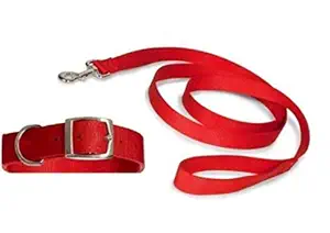 Pedigone 1 inch Design Red Dog Collar Belt,1.5m-2m lengthy Dog Collar & Leash for All Type of Dogs Breed.