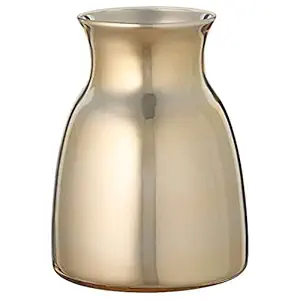 Digital Shoppy IKEA Vase, 15 cm (6 