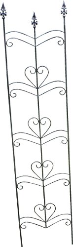 Preisvergleich Produktbild RANKGITTER ,,Yorkshire' Yorkshire H180cm 124026k