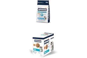 Advance Cat Kitten, Kitten Cat Food with Chicken, 1.5 kg + Wet Food for Kittens with Chicken, Multipack 12 x 85 g