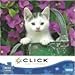 Produktbild Click Sweet Kitty 1000 Piece Puzzle