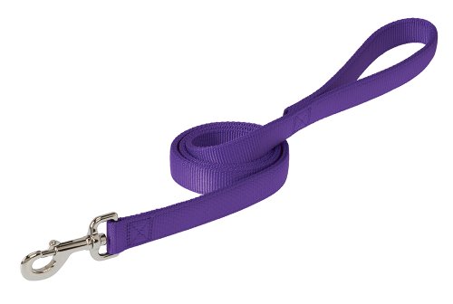 Weaver-Leather-Prism-Classic-Leash-34-x-4-Feet-Purple