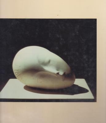 couverture de : Brancusi