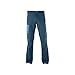 Produktbild SALOMON Wayfarer Pant M - Herren-Hose, blau (Reflecting Pond)