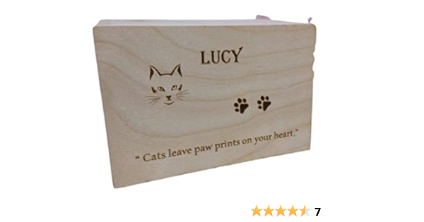 personalised pet ashes box