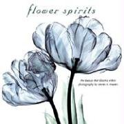 Preisvergleich Produktbild Flower Spirits: The Beauty That Blooms Within