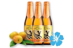 6 x DjuDju-Mango-Bier. Exotisches Afrikanisches Fruchtbier-Biermischgetränk. Das ideale Bier-Geschenk. Aufwendig gebraut nach einem uralten Rezept aus Ghana