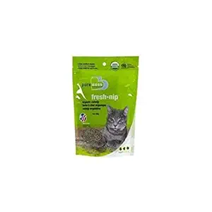 Van Ness ProduCounts CVNCN1 Fresh Nip Organic Cat Nip