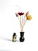 Hosley Decorative Small Black Diffuser with Fragrance Oil and Reeds RS.210.00
