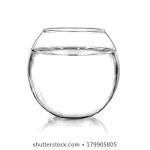 nogaiya Fish Bowl Glass Product Round Shape Transparent crystel Glass (Pack of 1)